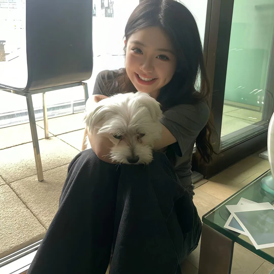 征服